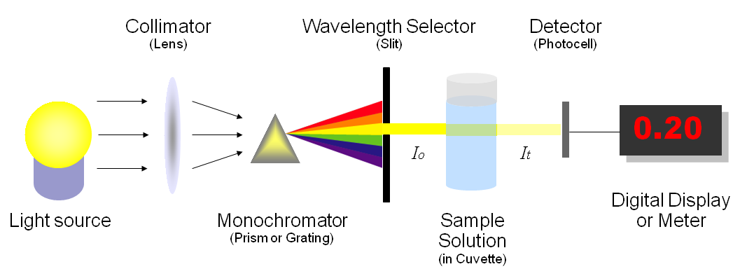 Basic structure of spectrophotometer components